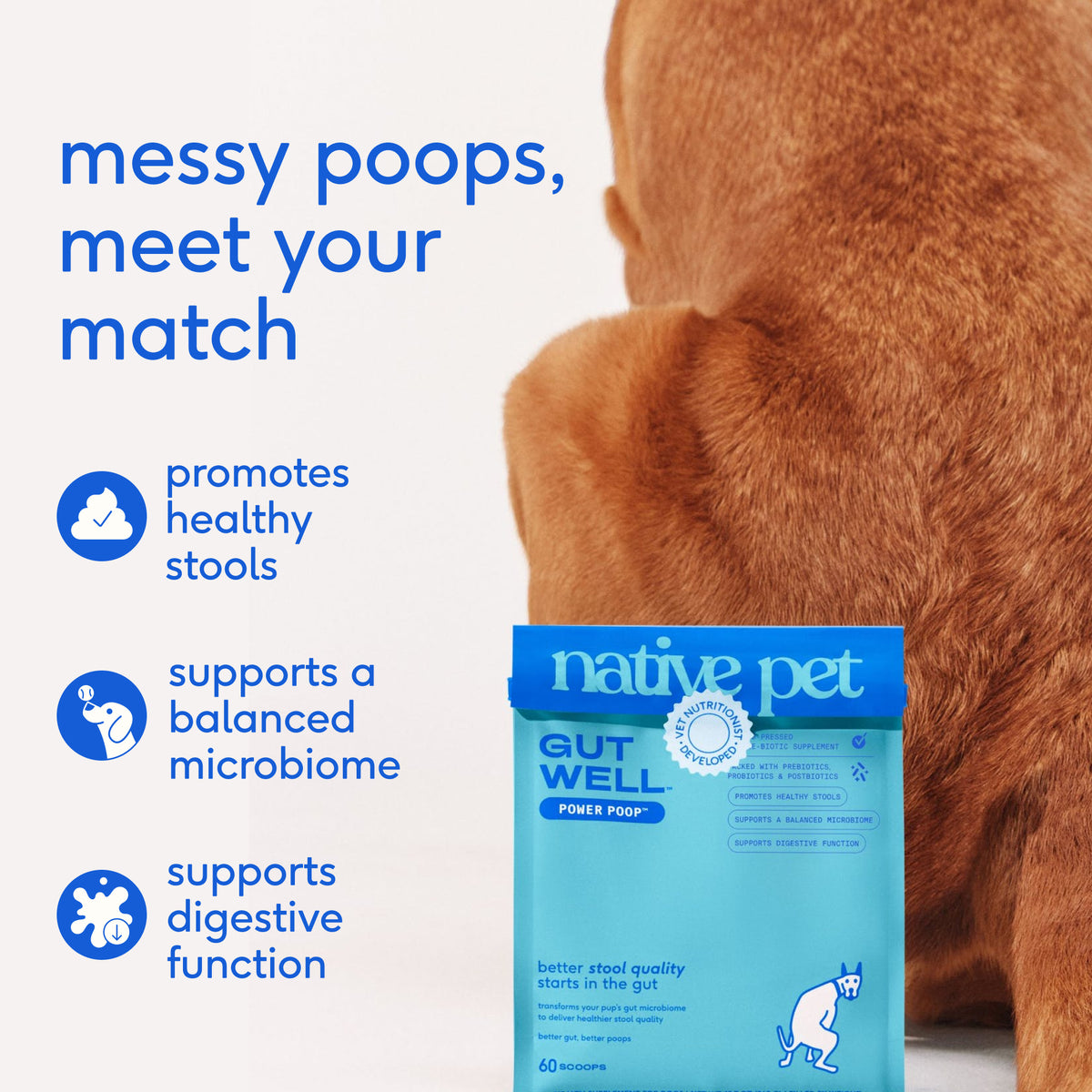 Native Pet Power Poop for Dogs - Key Benefits