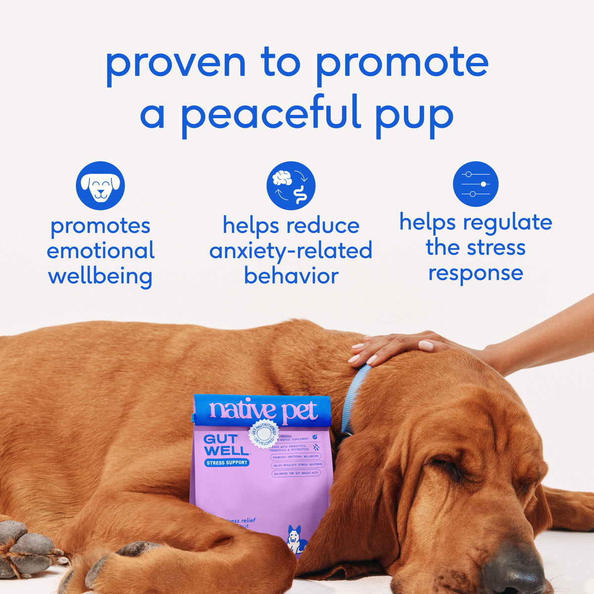 Native Pet Stress Support for Dogs - Key Benefits