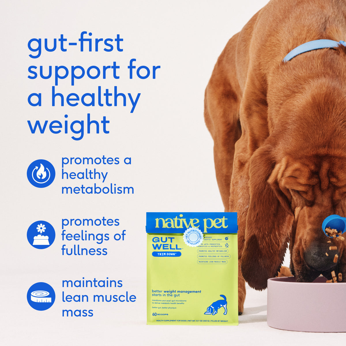 Native Pet Trim Down for Dogs - Key Benefits