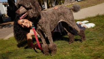 woman and brown poodle lying outside in the grass