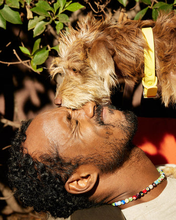 Man holding brown terrier dog that's licking his face.