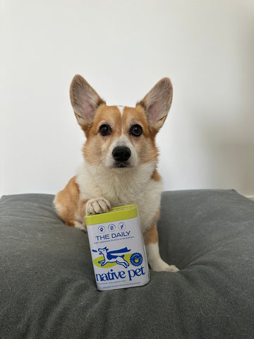 <p>“My dog loves the taste of this supplement! If she could, she would eat the whole tin in one sitt