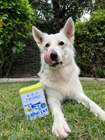 <p>"My 2 year old shepherd is a fan of this supplement! He can be picky so it’s been great to see hi