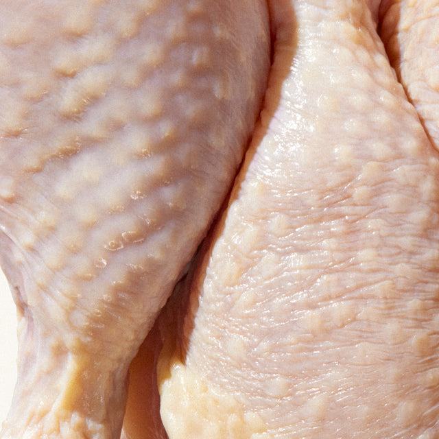 chicken