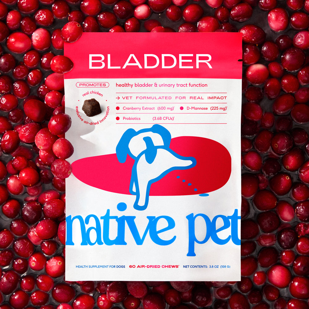 BLADDER CHEWS