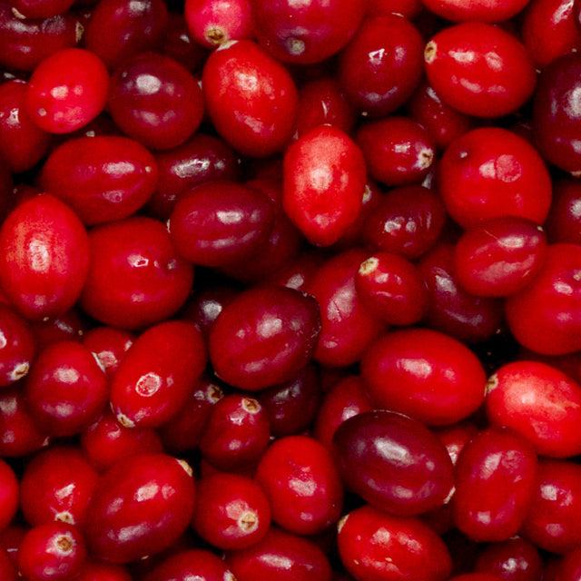cranberry extract