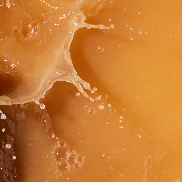 beef bone broth