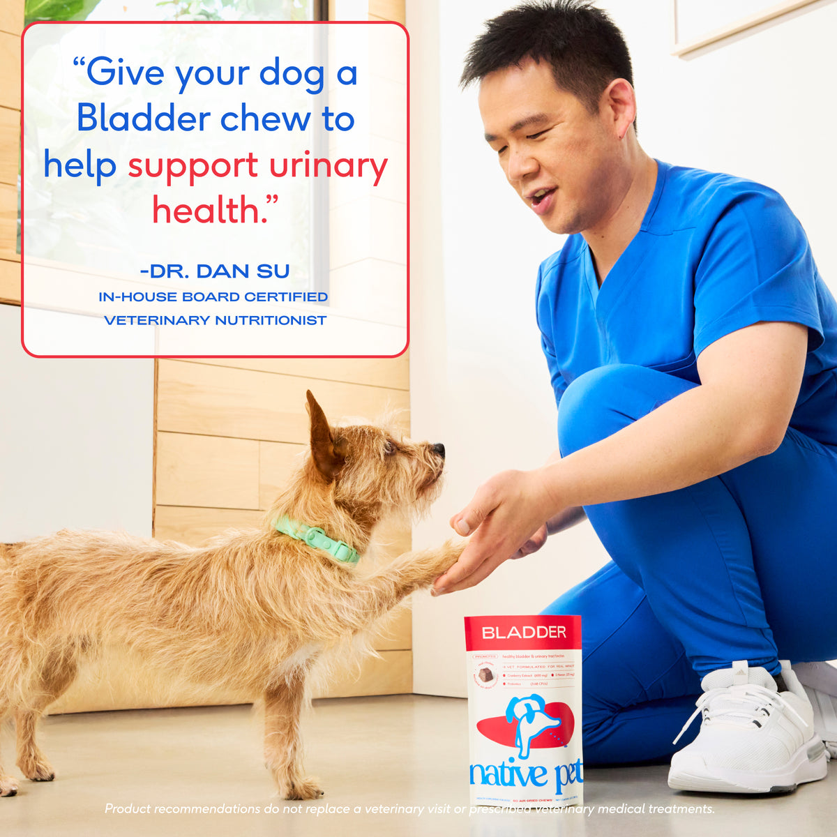Native Pet Bladder Chews for Dogs - Expert Testimonial