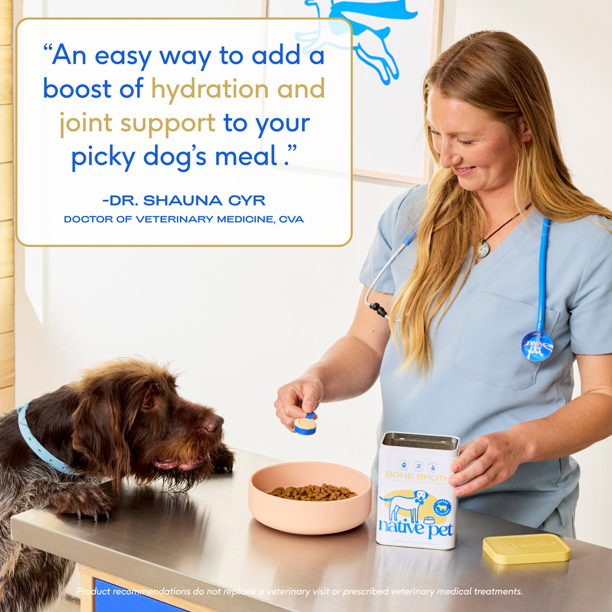 Native Pet Chicken Bone Broth for Dogs - Expert Testimonial