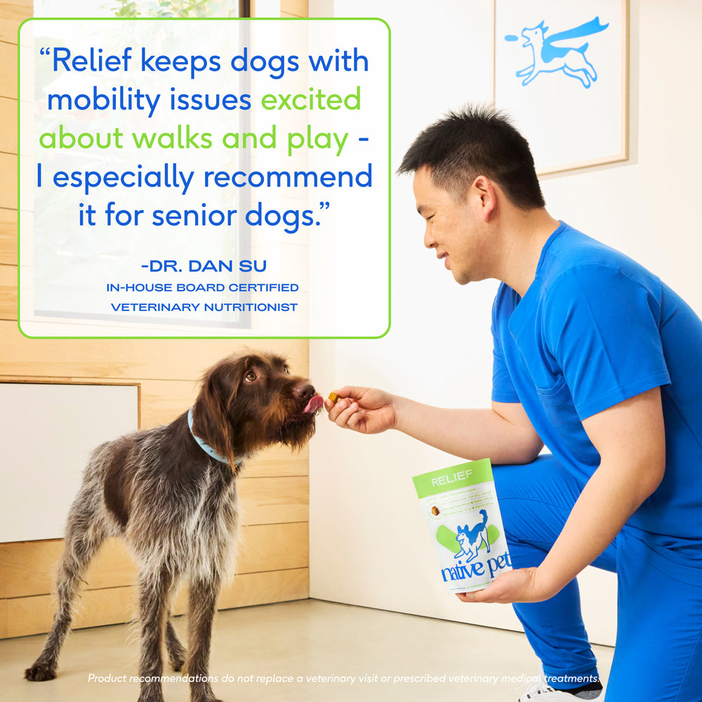 RELIEF CHEWS