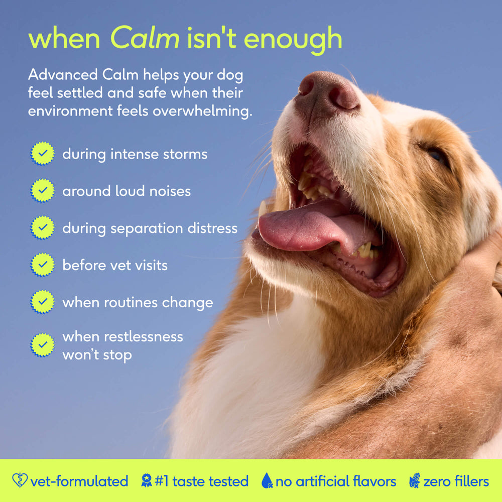 Advanced Calm Chews