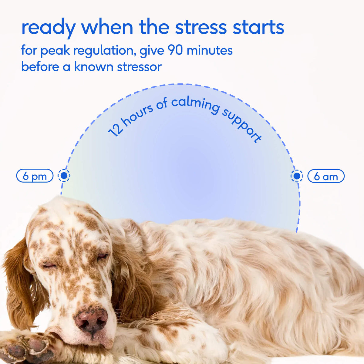 Advanced Calm Chews