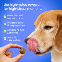 Advanced Calm Chews