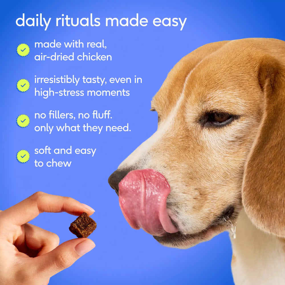CALM CHEWS