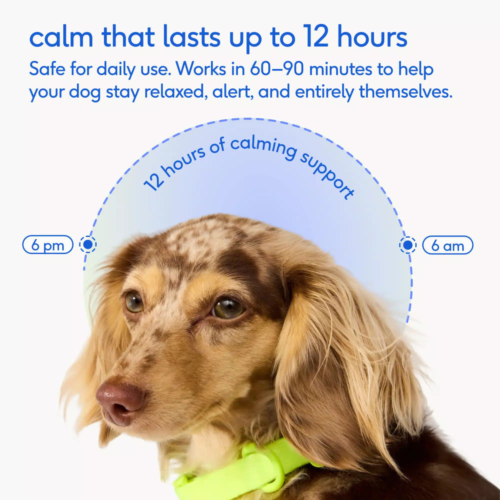 CALM CHEWS