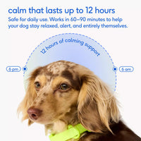 CALM CHEWS