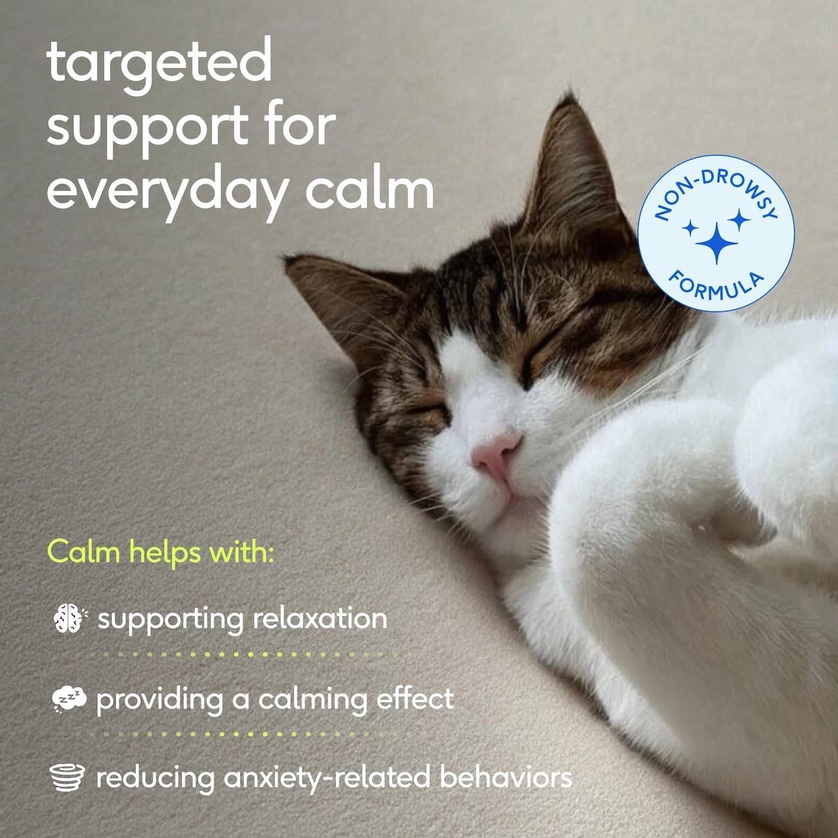 Calm for Cats