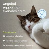 Calm for Cats