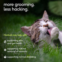 Hairball for Cats