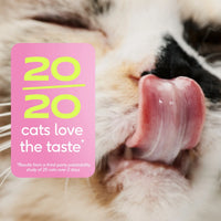 Hairball for Cats