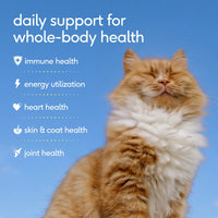 Multivitamin for Cats