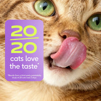 Multivitamin for Cats