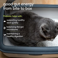 Probiotic for Cats