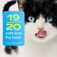 Probiotic for Cats