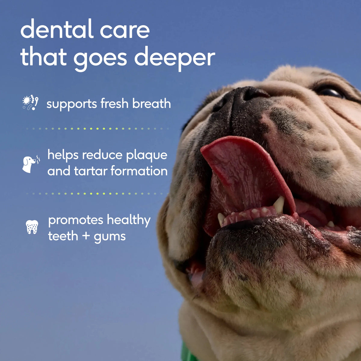 CLEAN BREATH POWDER