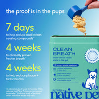 CLEAN BREATH POWDER