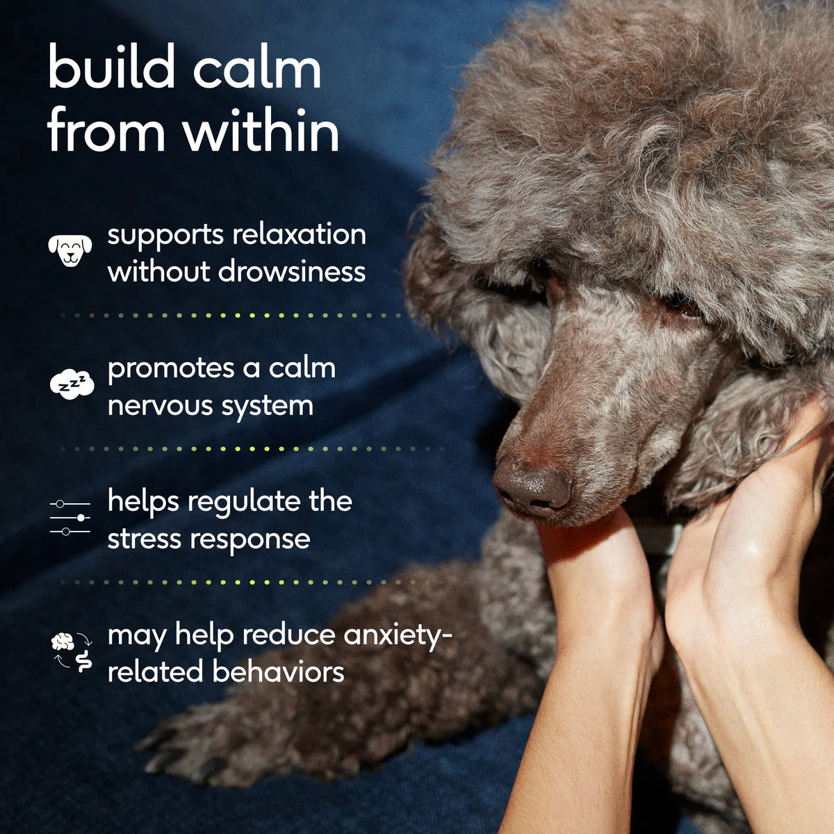 STRESS SUPPORT POWDER