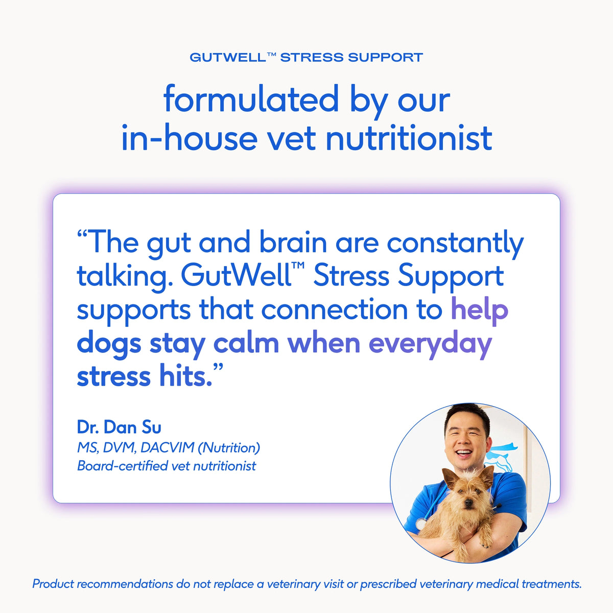 STRESS SUPPORT POWDER