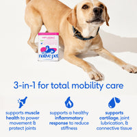 HIP+JOINT ADVANCED CARE