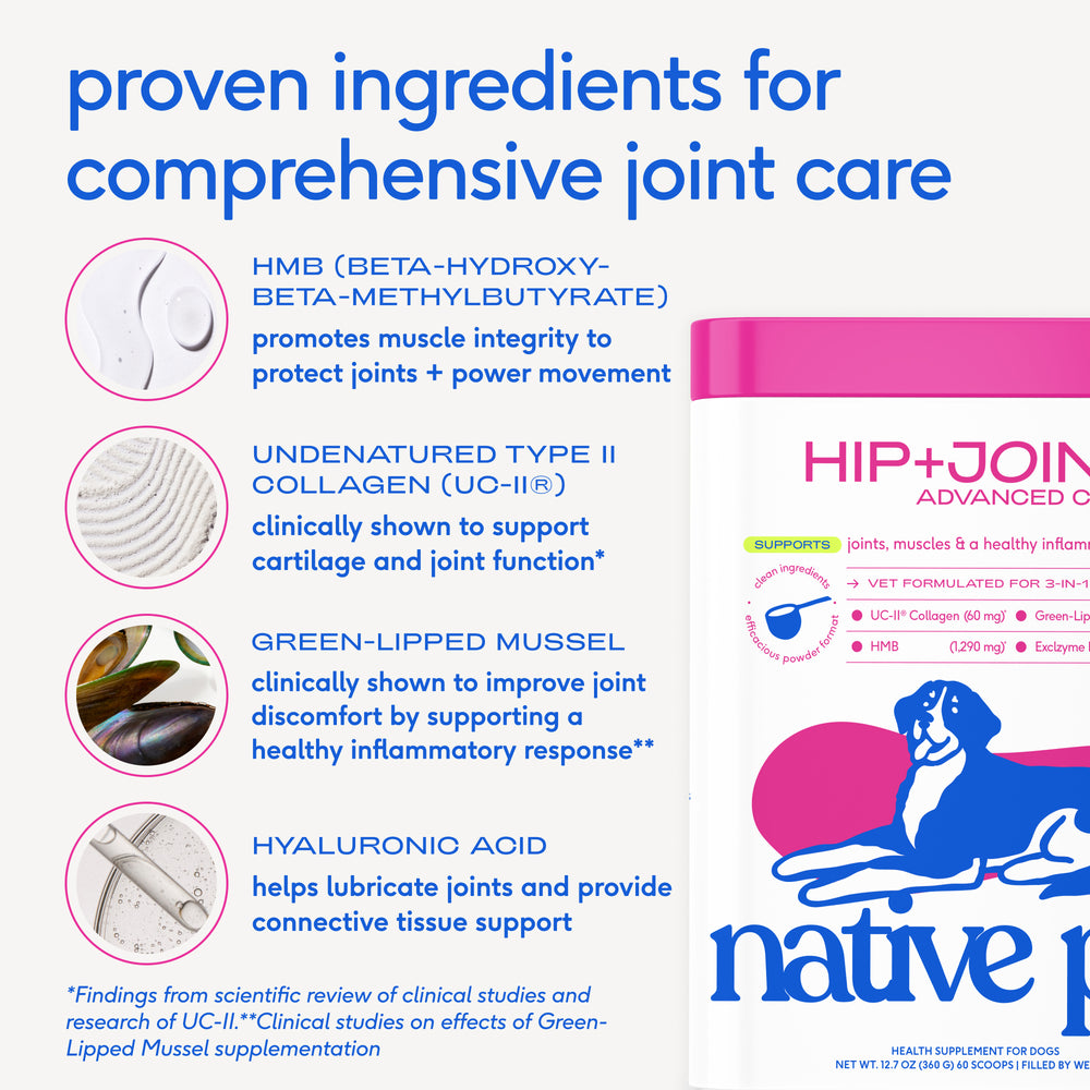 HIP+JOINT ADVANCED CARE Native Pet HIP+JOINT ADVANCED CARE Native Pet