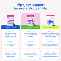 HIP+JOINT INFLAMMATORY CARE