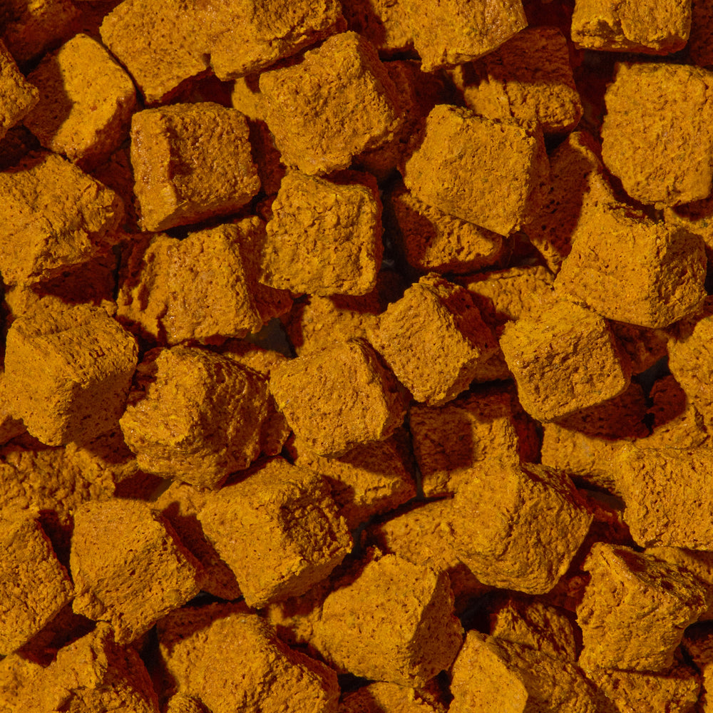 HIP+JOINT INFLAMMATORY CARE