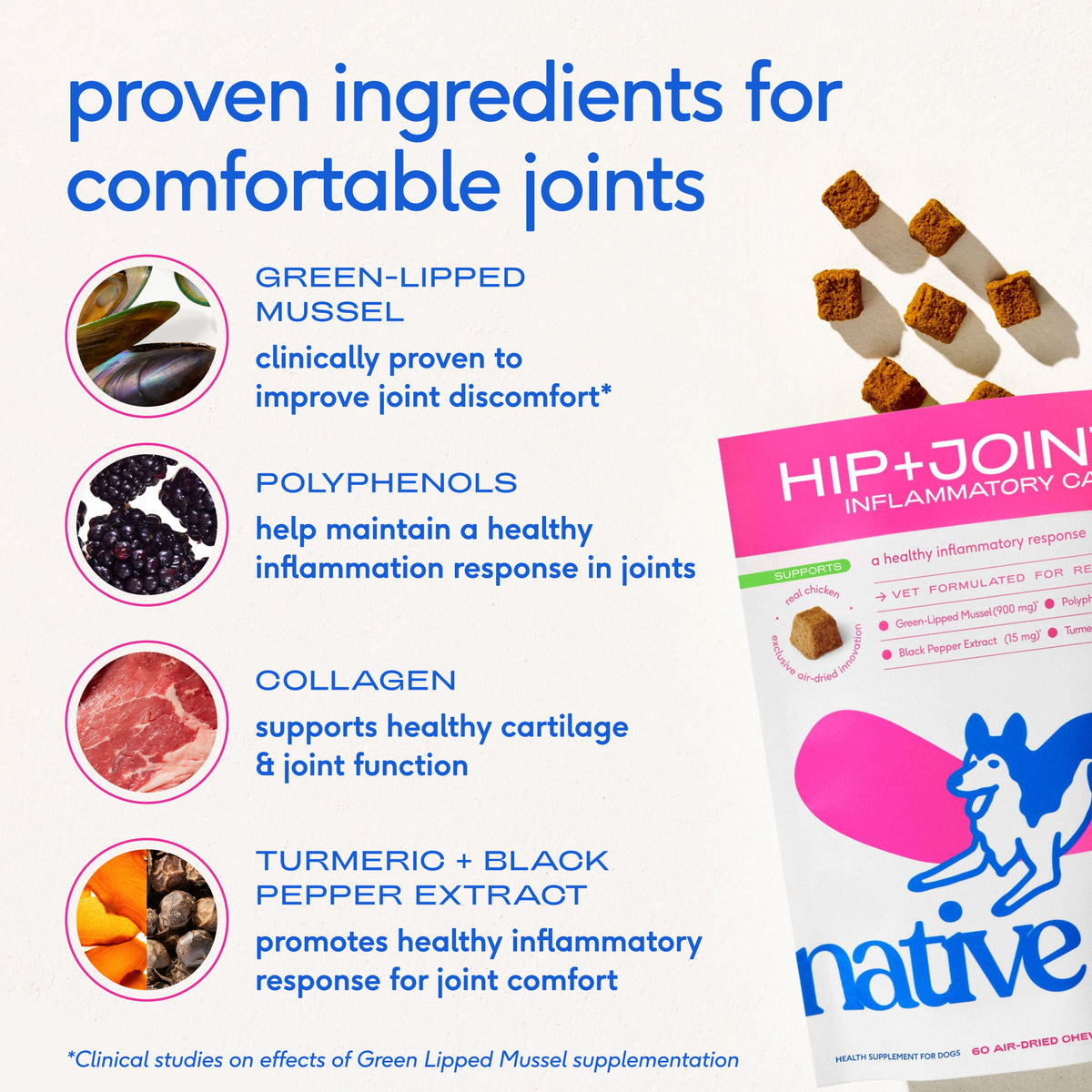 Native Pet Hip+Joint Inflammatory Care for Dogs - Ingredients