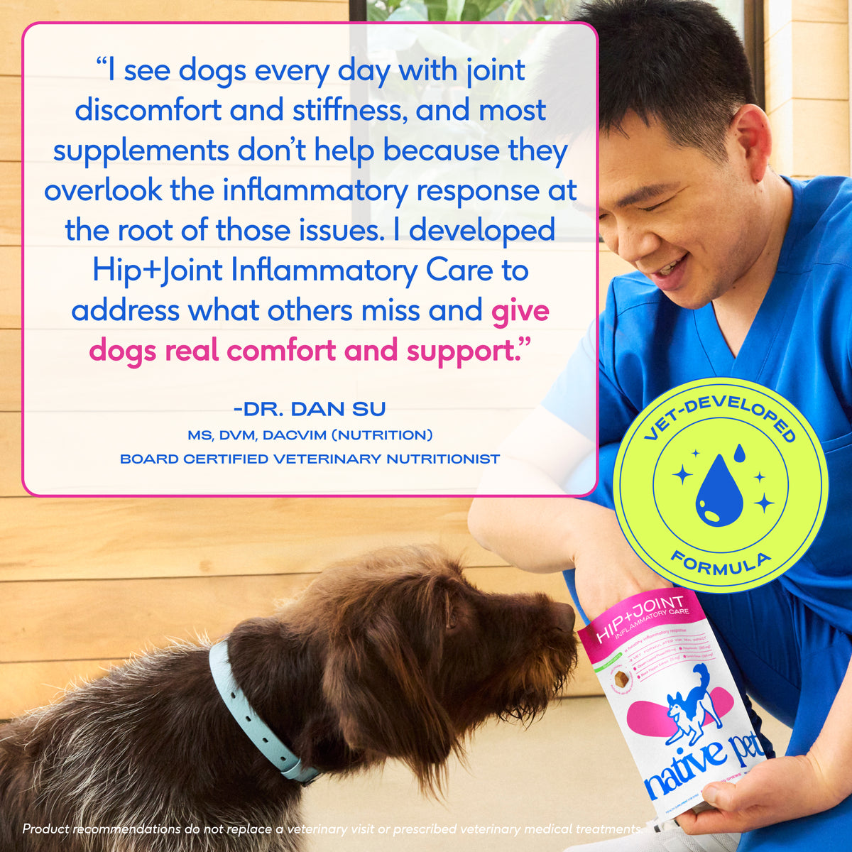 Native Pet Hip+Joint Inflammatory Care for Dogs - Expert Recommendation