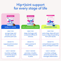 HIP+JOINT MOBILITY CARE