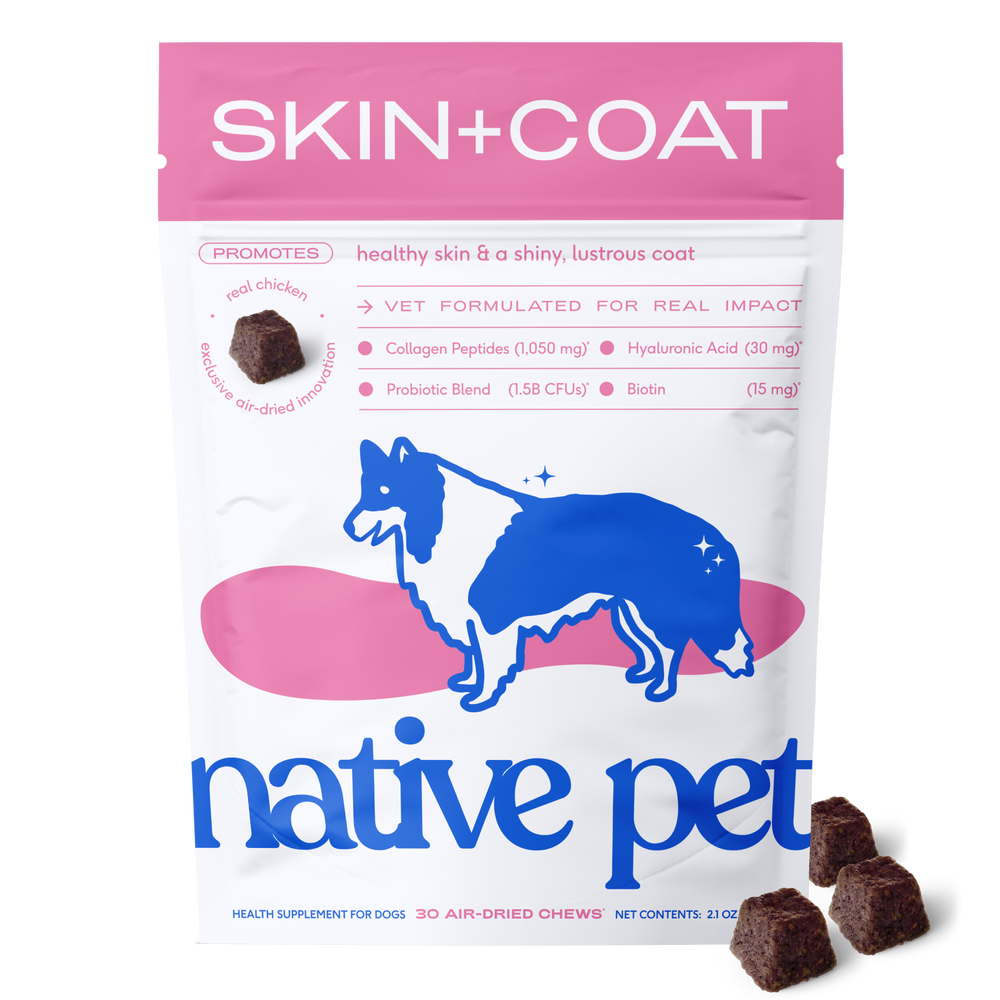 Native Pet Skin + Coat Chews Supplement
