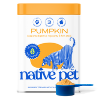 Native Pet Pumpkin for Dogs