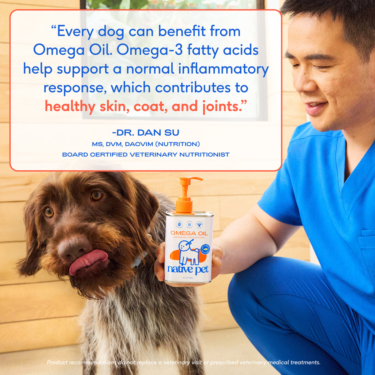 Native Pet Omega Oil for Dogs - Expert Recommendation