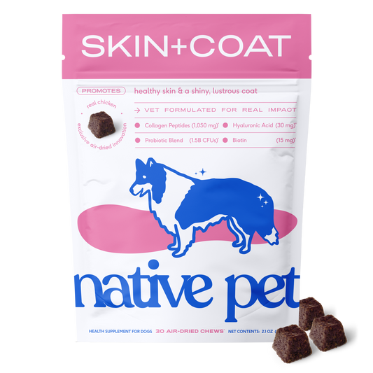 Skin+Coat Chews