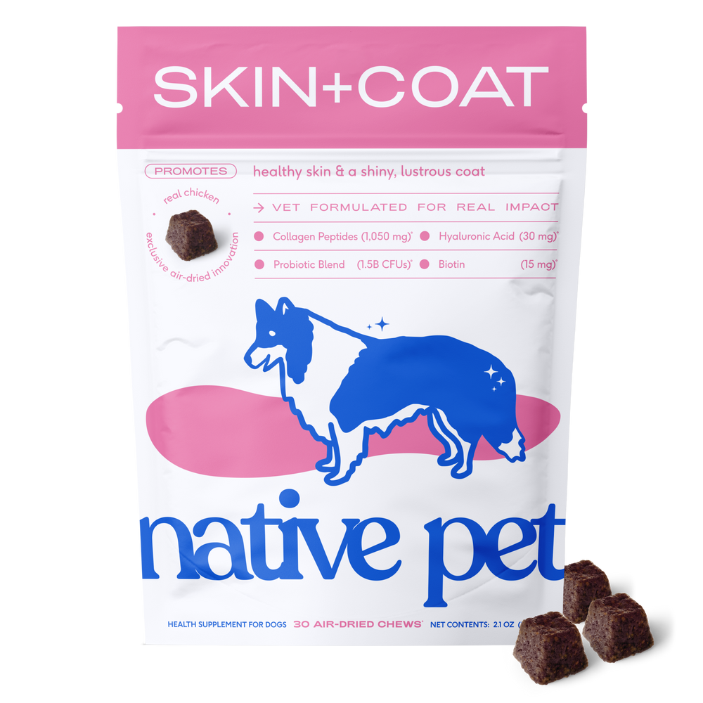 SKIN+COAT CHEWS