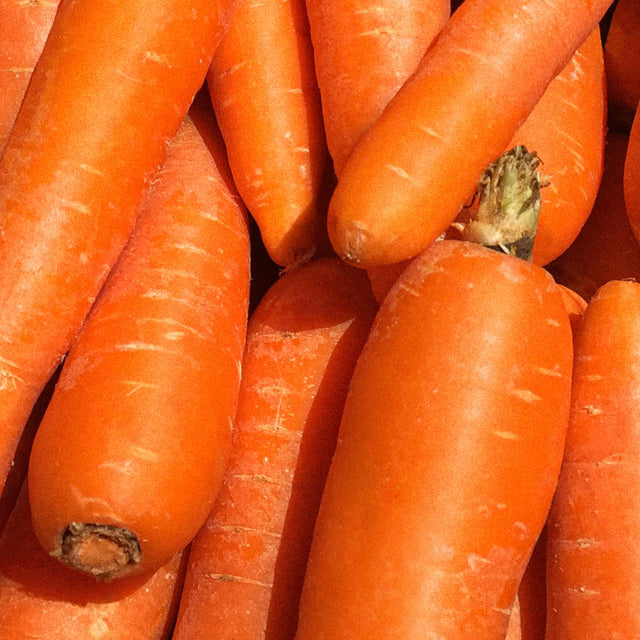 beta carotene