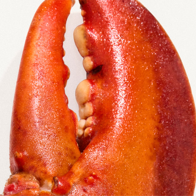 glucosamine (shellfish)