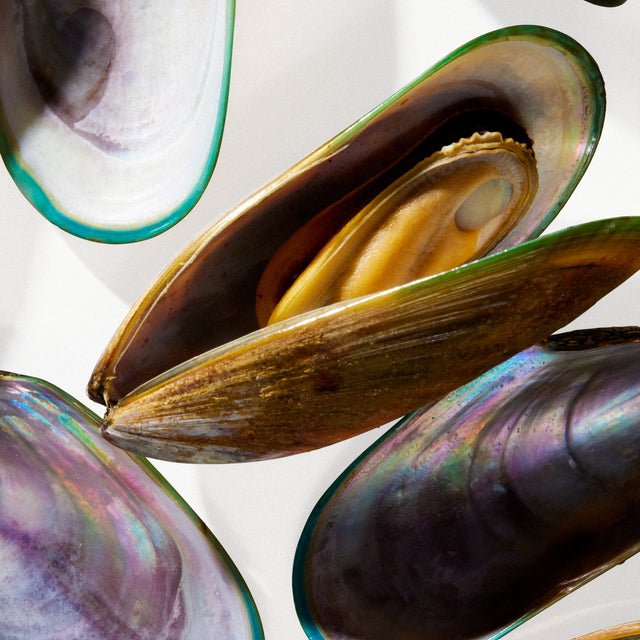 green-lipped mussels
