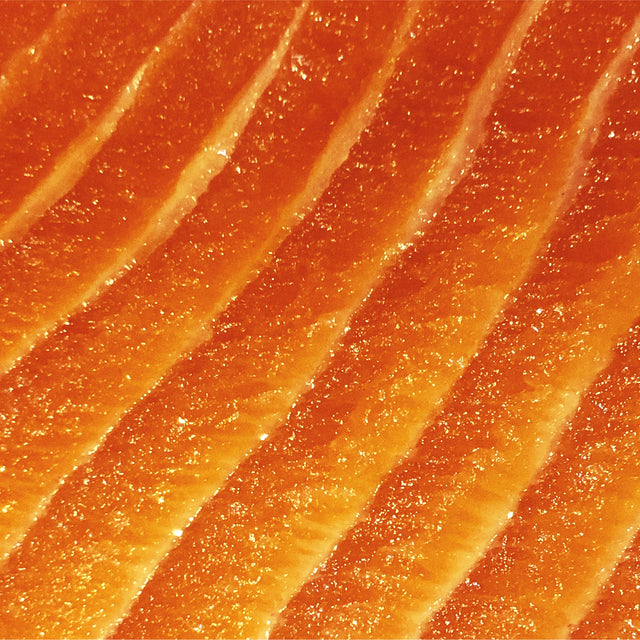 wild-caught salmon oil