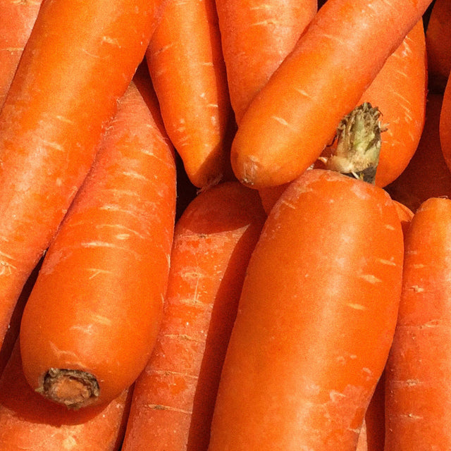 Native Pet Senior Daily for Dogs - BetaCarotene Ingredient