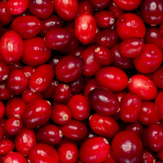 Native Pet Senior Daily for Dogs - CranberryExtract Ingredient